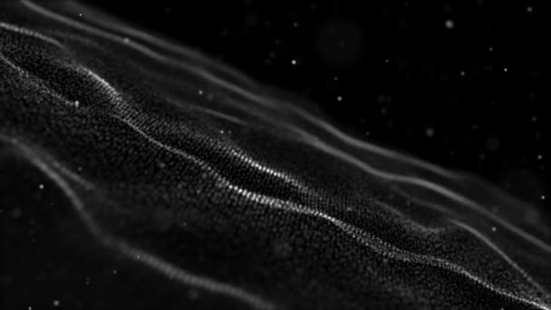 Partículas negras y oscuras. Partículas orgánicas flotantes naturales Sobre fondo relajante beatiful. Partículas brillantes con Bokeh. Movimiento lento . — Vídeo de stock