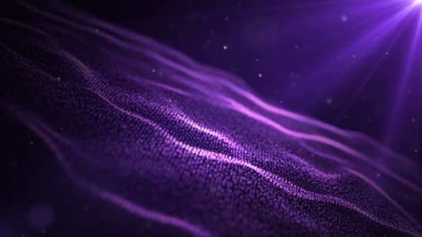 Partículas púrpura. Partículas orgánicas flotantes naturales Sobre fondo relajante beatiful. Partículas brillantes con Bokeh. Movimiento lento . — Vídeos de Stock
