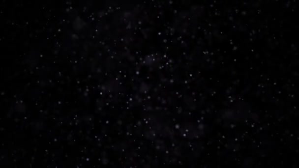 검은색과 어두운 입자입니다. 자연 유기 입자에 떠 있는 아름 다운 편안한 배경입니다. Bokeh와 빛나는 입자. 슬로우 모션. — 비디오
