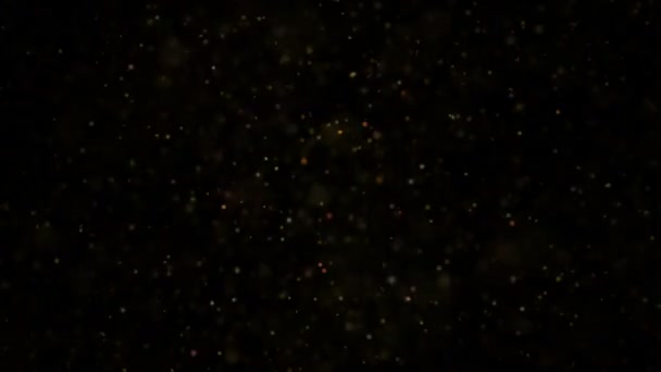 Fekete és a sötét részecskék. Természetes lebegő szerves részecskék a szép pihentető háttér. Csillogó részecskéket a Bokeh. Lassú mozgás. — Stock videók