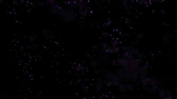 Purple Particles. Natural Floating Organic Particles On beatiful relaxing Background. Glittering Particles With Bokeh. Slow motion. — Stock Video