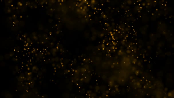 Partículas de oro. Partículas orgánicas flotantes naturales Sobre fondo relajante beatiful. Partículas brillantes con Bokeh. Movimiento lento . — Vídeo de stock