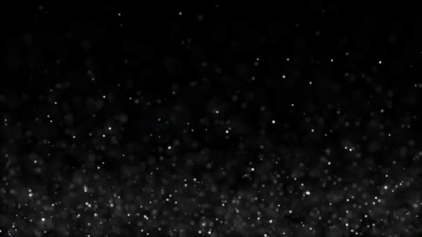 Flickering Particles, random motion of particles.On beatiful relaxing Background. Glittering Particles With Bokeh — Stock Video