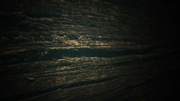 Textura de madera fondo — Vídeo de stock