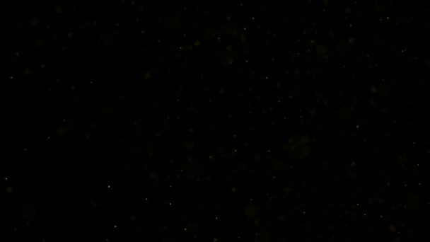 Contexte mouvement d'or. Univers poussière d'or avec des étoiles sur fond noir. Motion abstrait des particules. — Video