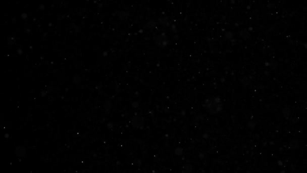 Movimiento de oro de fondo. Universo polvo de oro con estrellas sobre fondo negro. Movimiento abstracto de partículas. — Vídeo de stock