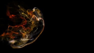 Sıvı parçacıkların soyut backgraund. Güzel arka plan rahatlatıcı üzerinde. Işıltılı parçacıklar Bokeh ile. Ağır çekim