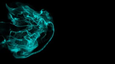 Doğal Yüzen Organik Parçacıklar Güzel Rahatlatıcı Arkaplan. Bokeh 'le parıldayan parçacıklar. Yavaş çekim.