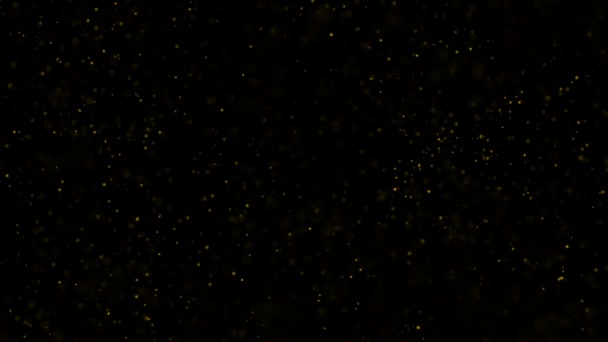 Flickering Particles, random motion of particles.On beatiful relaxing Background. Glittering Particles With Bokeh — Stock Video