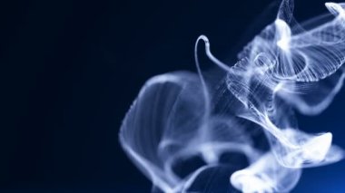 Organik arka plan hareketli ve titreme parçacıkları ile. Güzel arka plan rahatlatıcı.