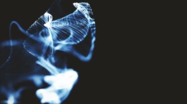 Organik arka plan hareketli ve titreme parçacıkları ile. Güzel arka plan rahatlatıcı.