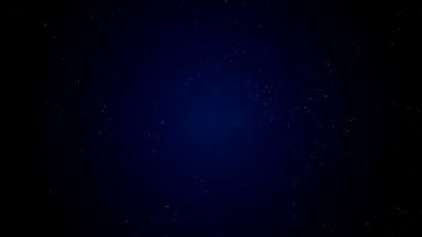 Doğal Organik Toz Parçacıkları Siyah Arka Plan Üzerinde Yüzen. Pırıl pırıl Pırıl Parçacıklar Rastgele Bokeh ile Havada Spin. yavaş hareket ile beyaz dinamik parçacıklar. Uzayda Parıldayan Parçacıklar