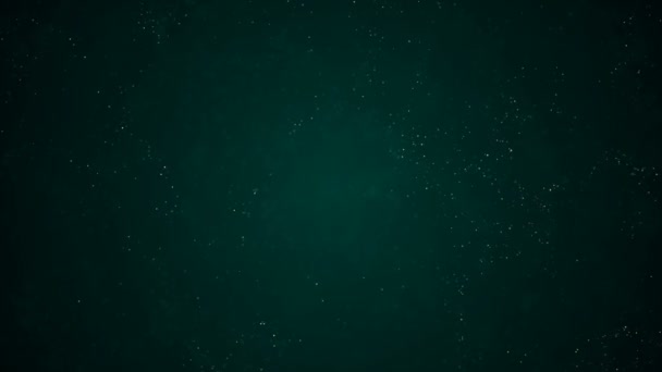 Natural Organic Dust Particles Floating On Black Background. Glittering Sparkling Particles Randomly Spin In The Air With Bokeh. White Dynamic Particles With Slow Motion. Particles Shimmering In Space — Stock Video