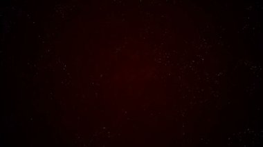 Doğal Organik Toz Parçacıkları Siyah Arka Plan Üzerinde Yüzen. Pırıl pırıl Pırıl Parçacıklar Rastgele Bokeh ile Havada Spin. yavaş hareket ile beyaz dinamik parçacıklar. Uzayda Parıldayan Parçacıklar