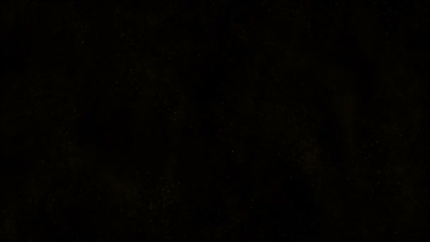 Particules de poussière organique naturelle flottant sur fond noir. Particules scintillantes scintillantes Spin aléatoire dans l'air avec Bokeh. Particules dynamiques blanches à mouvement lent. Particules chatoyantes dans l'espace 