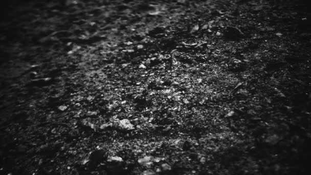 Résumé gros plan du fond terrestre. poussières, fissures et pierres 