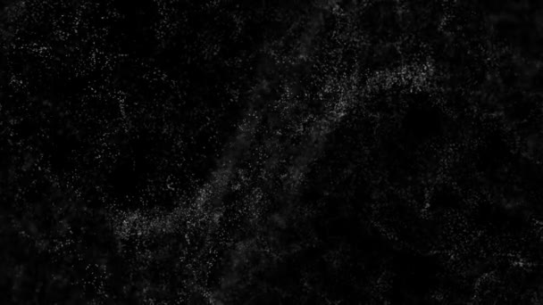 Partículas de polvo orgánico natural flotando sobre fondo negro. Partículas dinámicas de polvo flotan aleatoriamente en el espacio con cámara lenta. Brillantes partículas brillantes con Bokeh. Partículas de color real en el aire. — Vídeo de stock