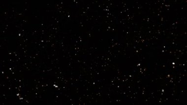 Soyut Toz Parçacıkları Arkaplanı. Bokeh Parçacıkları Arkaplanı. Titrek Parçacıklar, parçacıkların rastgele hareketi.