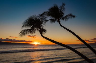 Gün batımında 2 palmiye ağaçlarının Kaanapali beach, Batı Maui, Hawaii silüeti