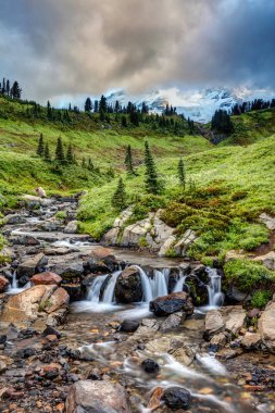 Rainier Dağı'nın Edith Creek, hemen üstünde Mount Rainier Milli Parkı, Washington Eyaleti ile Myrtle düştü.