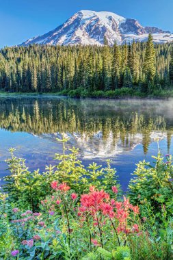 Mount Rainier yansıma Gölü kır çiçekleri ile popüler bir görünümünü sakin bir sabah. Rainier Dağı Milli Parkı, Washington State, ABD