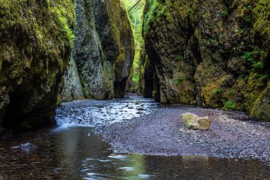 Oneonta Gorge, Oregon. Yemyeşil ve Yeşil Kanyon. Oneonta için önde gelen bir nehirde su, göğüs derin havuzları bazen aracılığıyla da yürüyüş oluşur bir güzel gün zam düşüyor.