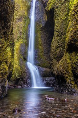 Mistik Oneonta Falls içinde yemyeşil Oneonta Gorge, Oregon