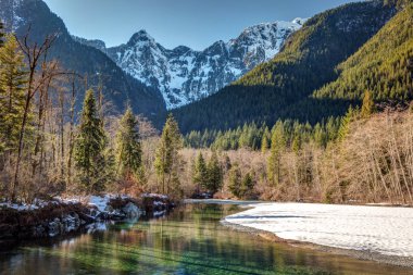 Bahar günü altın kulakları il Park, british columbia, Kanada. 