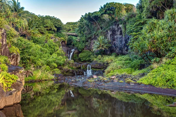 Lush Tropical Calm Reflection Morning Oheo Gulch Seven Pools Haleakala — Stock Photo, Image
