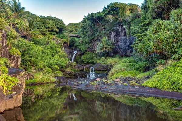 Gür, tropik ve sakin yansıma oheo gulch sabah veya yedi havuzları, Maui, Hawaii Doğu yakasında Haleakala Milli Parkı.