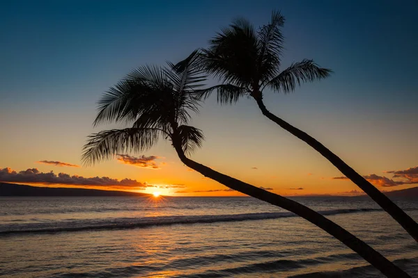 Silhueta Palmeiras Pôr Sol Praia Kaanapali Oeste Maui Havaí — Fotografia de Stock