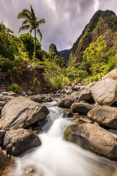 Cena Tropical Com Agulha Iao Uma Palmeira Solitária Longa Exposição — Fotografia de Stock