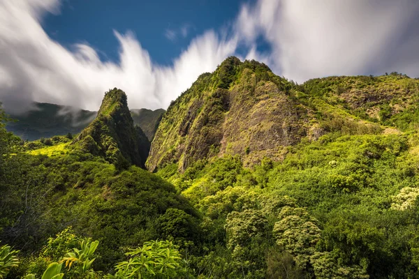 Tropik ada Maui, Hawaii IAO Vadisi
