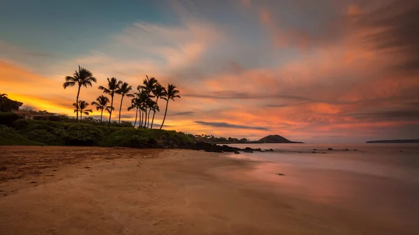 Bir Güney Maui beach, palmiye ağaçları, renkli gökyüzü ve dalgalar yavaşça sahilde kırma ile Pastoral Hawaii sahne güzel gündoğumu.