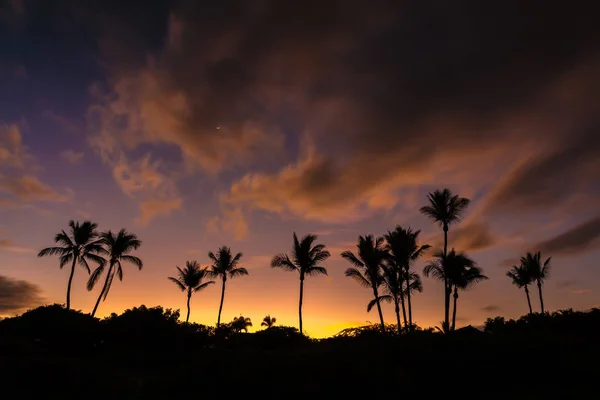 Dyllic Hawaii Sunrise Sziluettje Pálmafákkal Egy Nagyon Színes Égbolt Titkos — Stock Fotó