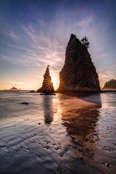 Línea Costera Del Parque Nacional Olímpico Estado Washington Realmente Hermosa — Foto de Stock