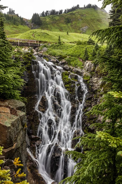 Rainier Dağı'nın Myrtle Falls ve Edith Creek, güzel ve kolay yürüyüşe cennet alan Mount Rainier Milli Parkı, Washington.
