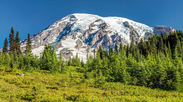 Sommer Auf Mount Rainier Der Vergletscherte Gipfel Des Mount Rainier — Stockfoto