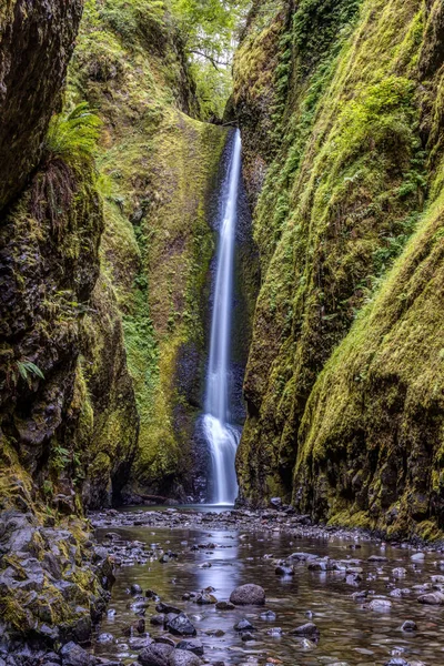 Yemyeşil ve yeşil alt Oneonta Oneonta gorge, Oregon düşüyor. Bir eğlence bu zammı, ilk ıslak, kaygan günlükleri büyük bir yığın üzerinde tırmanmak zorunda sonra zam ile Nehrin yukarısındaki havuzları ilâ 5 feet derin.