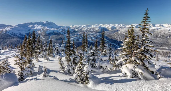 惠斯勒山在一个阳光明媚的冬日 加拿大不列颠哥伦比亚省惠斯勒布莱克科姆 — 图库照片