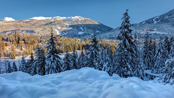 Bergen Whistler Och Blackcomb Solig Vinterdag Efter Senaste Snöfall Vacker — Stockfoto