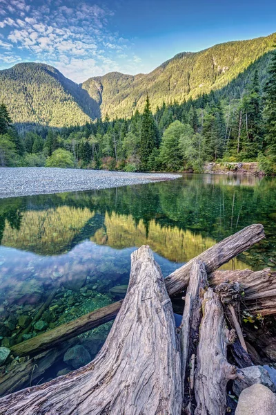 Bøje Floden Golden Ears Provincial Park British Columbia Canada - Stock-foto