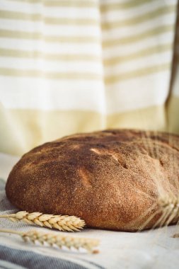 Organik ekşi hamur somun ekmek altın sarı filizlenmiş buğday taneleri ve sivri masa örtüsü, kırsal almosphere üzerinde