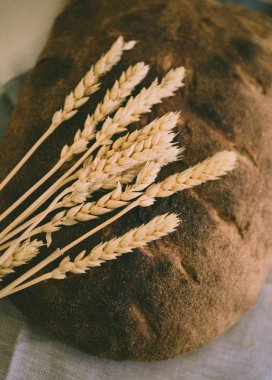 Organik ekşi hamur somun ekmek altın sarı filizlenmiş buğday taneleri ve sivri masa örtüsü, kırsal almosphere üzerinde