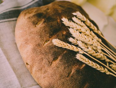 Organik ekşi hamur somun ekmek altın sarı filizlenmiş buğday taneleri ile