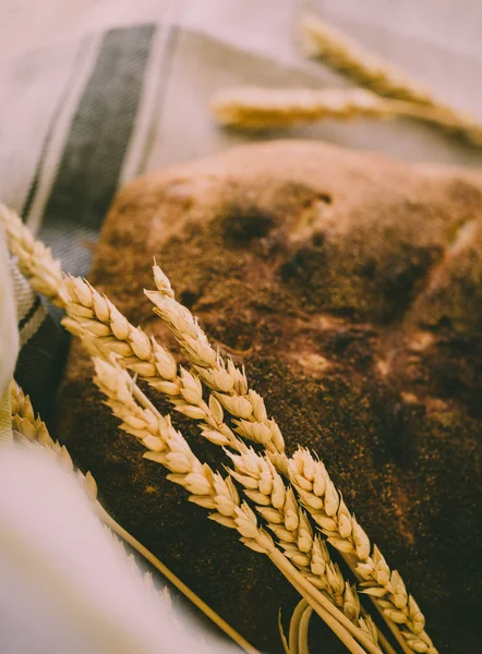 Organik ekşi hamur somun ekmek altın sarı filizlenmiş buğday taneleri ile