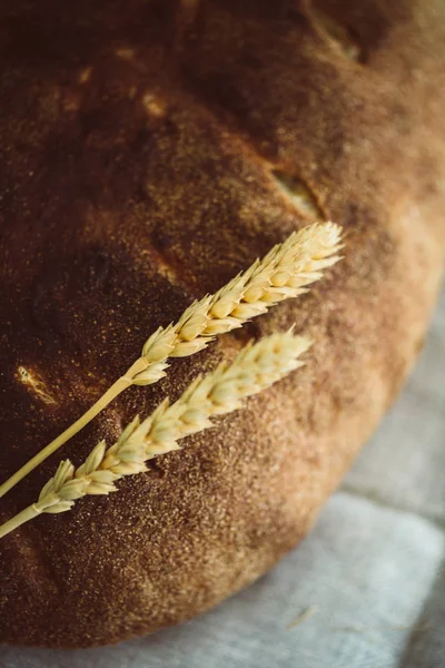Organik ekşi hamur somun ekmek altın sarı filizlenmiş buğday taneleri ile