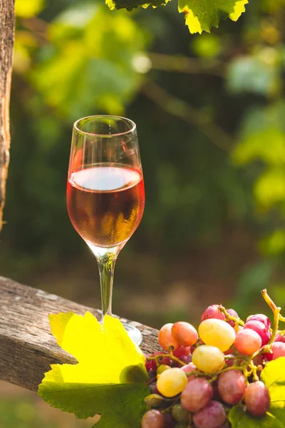 Verre Vin Blanc Sur Échelle Bois Dans Cour Raisin — Photo