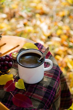 Bir fincan sıcak kahve ya da çikolata ya da sonbahar bahçesinde kaşıkla beyaz bardakta çay kareli ekose üzerinde altın sarısı ve kırmızı yapraklar. Romantik düşüş konforu Tahta sandalyede hayat