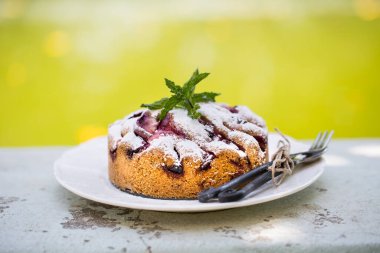 Nane yapraklarıyla süslenmiş, beyaz tabakta mini erikli turta.  